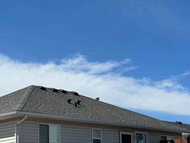 Professional Roofing Service in Springfield, SD